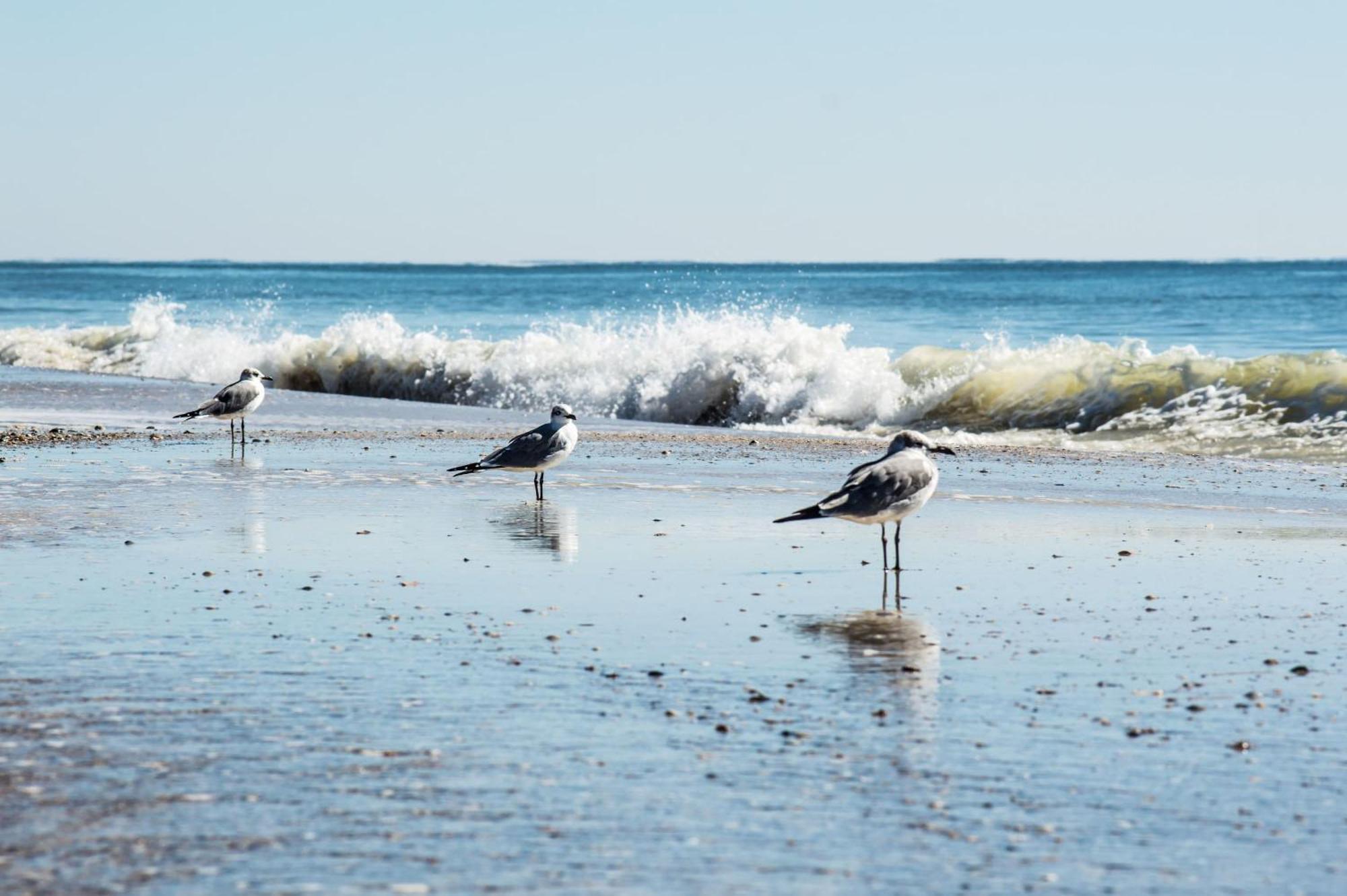Cozy Condo Just Steps To The Beach, Unit 2 - Sleeps 4 Gulf Shores Buitenkant foto